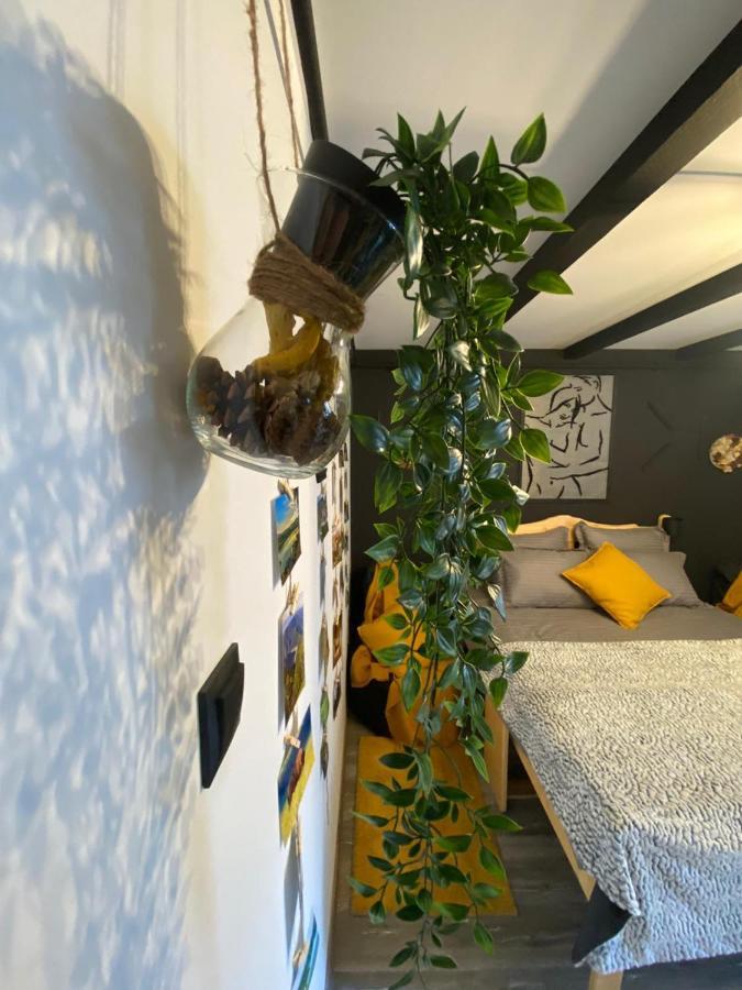 Appartement Night Lotus à Hunedoara Extérieur photo