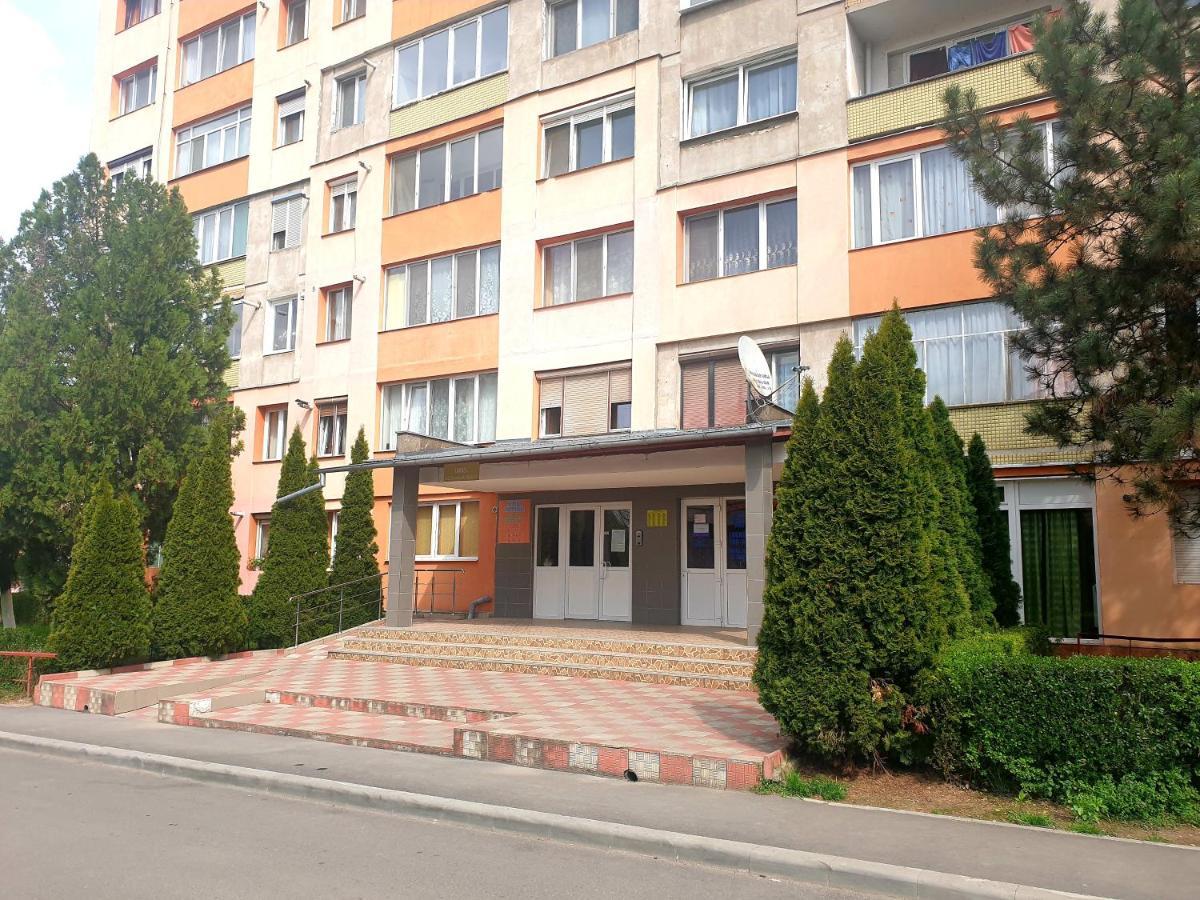 Appartement Night Lotus à Hunedoara Extérieur photo
